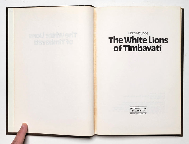 The White Lions of Timbavati