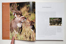 Hunting the Spiral Horns—Bongo & Nyala—The Elite African Trophies