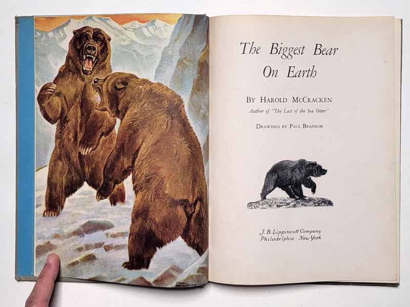 The Biggest Bear on Earth