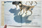 Animals of the Arctic: The Ecology of the Far North