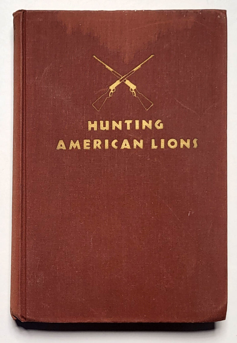 Hunting American Lions