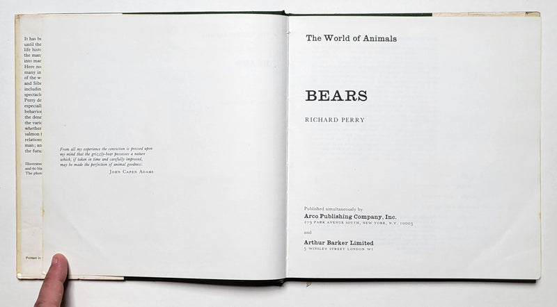Bears