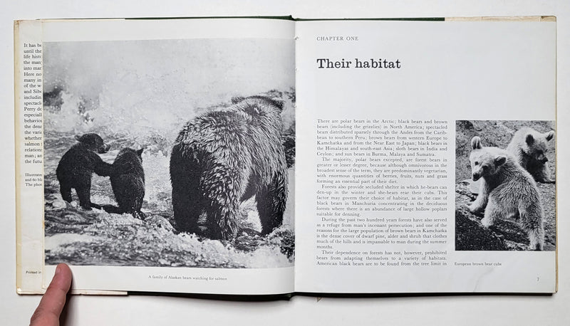 Bears