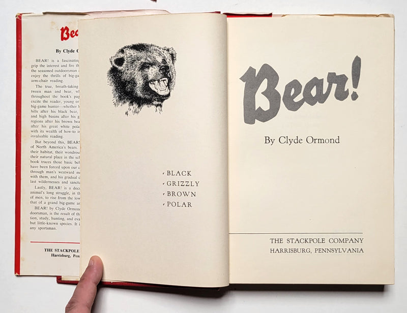Bear!