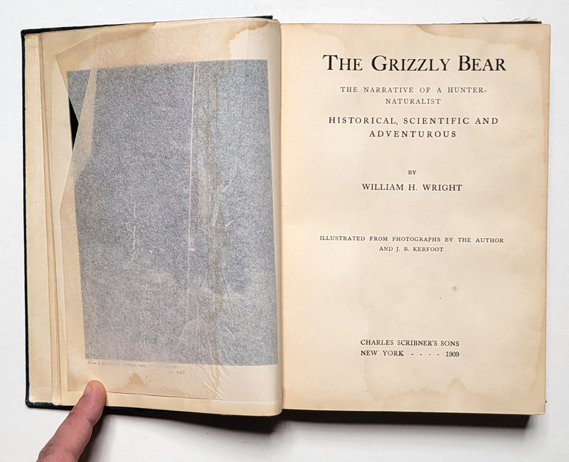 The Grizzly Bear