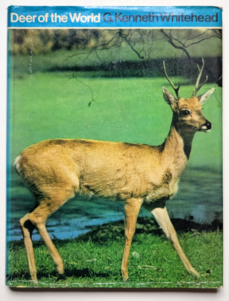 Deer of the World