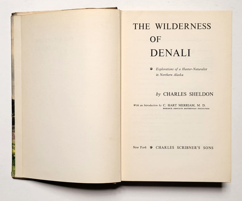 The Wilderness of Denali
