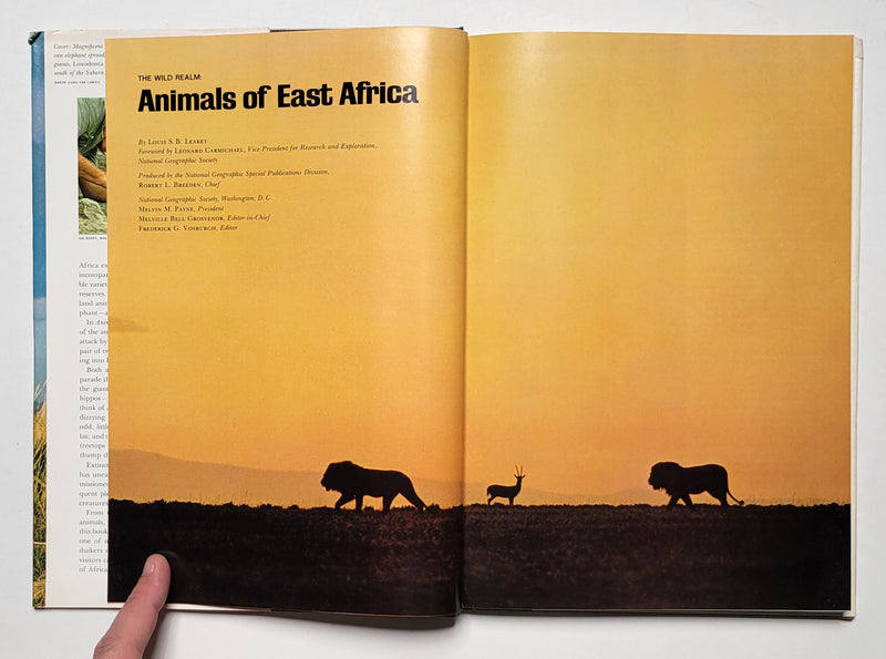 Animals of East Africa