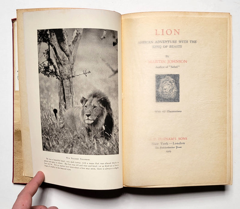 Lion: African Adventure with the King of Beasts