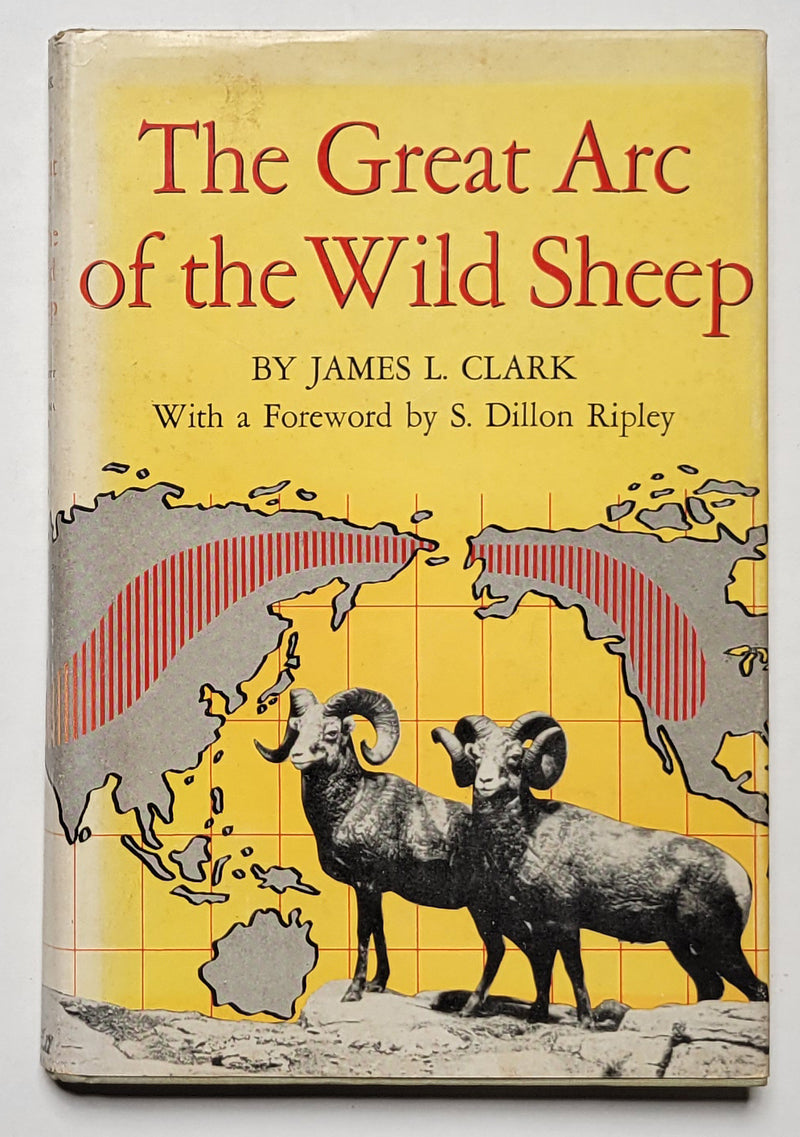 The Great Arc of the Wild Sheep