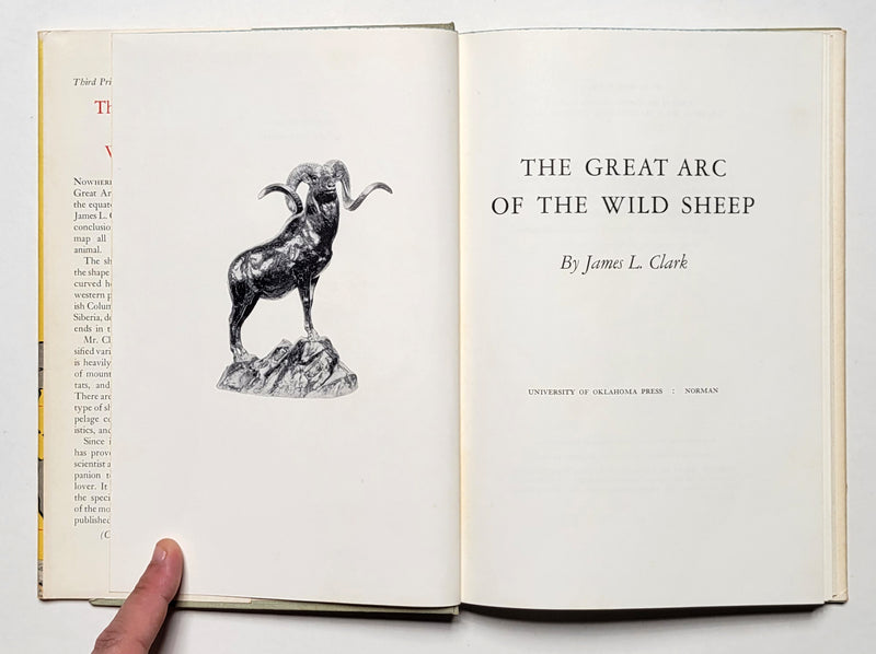 The Great Arc of the Wild Sheep