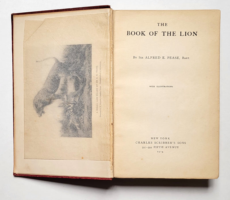 The Book of the Lion
