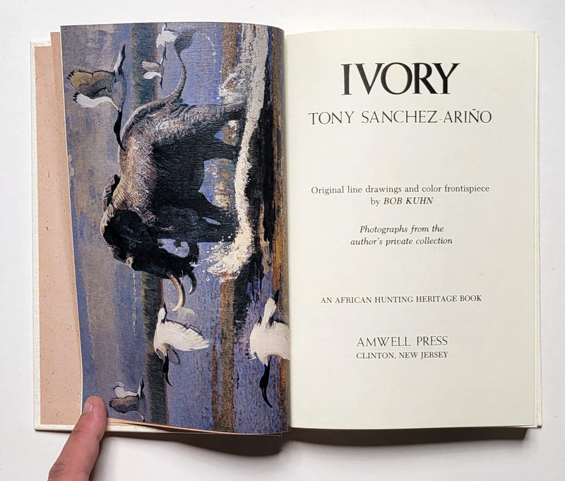 Ivory