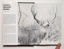 Utah’s Biggest Bucks