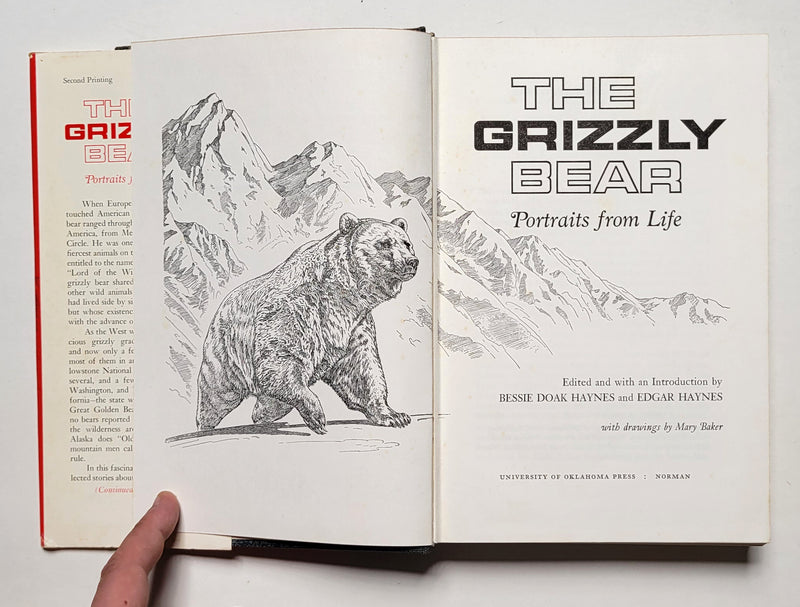 The Grizzly Bear: Portraits from Life