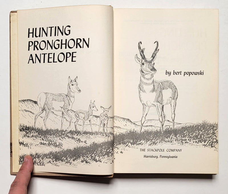 Hunting Pronghorn Antelope