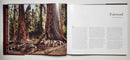 Paul Calle: An Artist's Journey