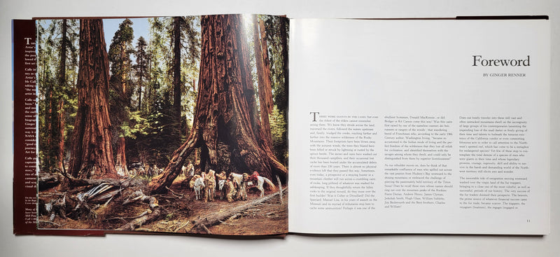 Paul Calle: An Artist's Journey