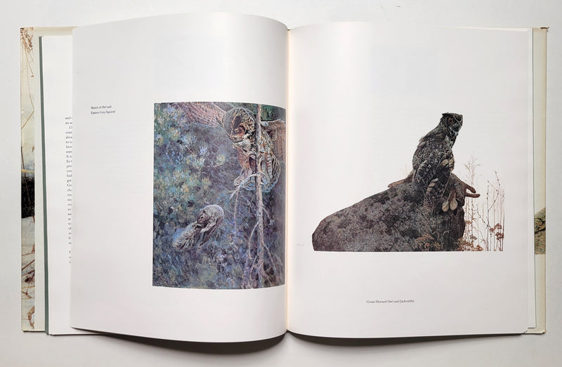 Paintings From the Wild: The Art and Life of George McLean