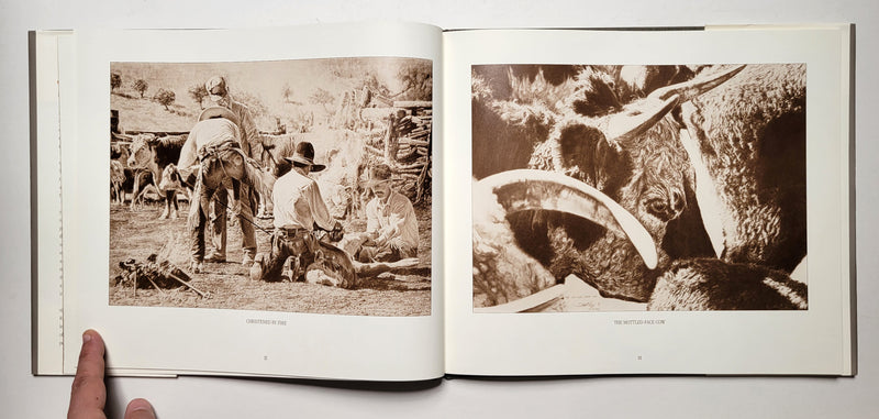 Robert Shuffelt: Drawing from Experience