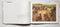 Tom Ryan: A Painter in Four Sixes