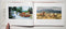 Lougheed: A Painters Painter