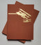 The Art of William S. Phillips: The Glory of Flight; Deluxe Edition