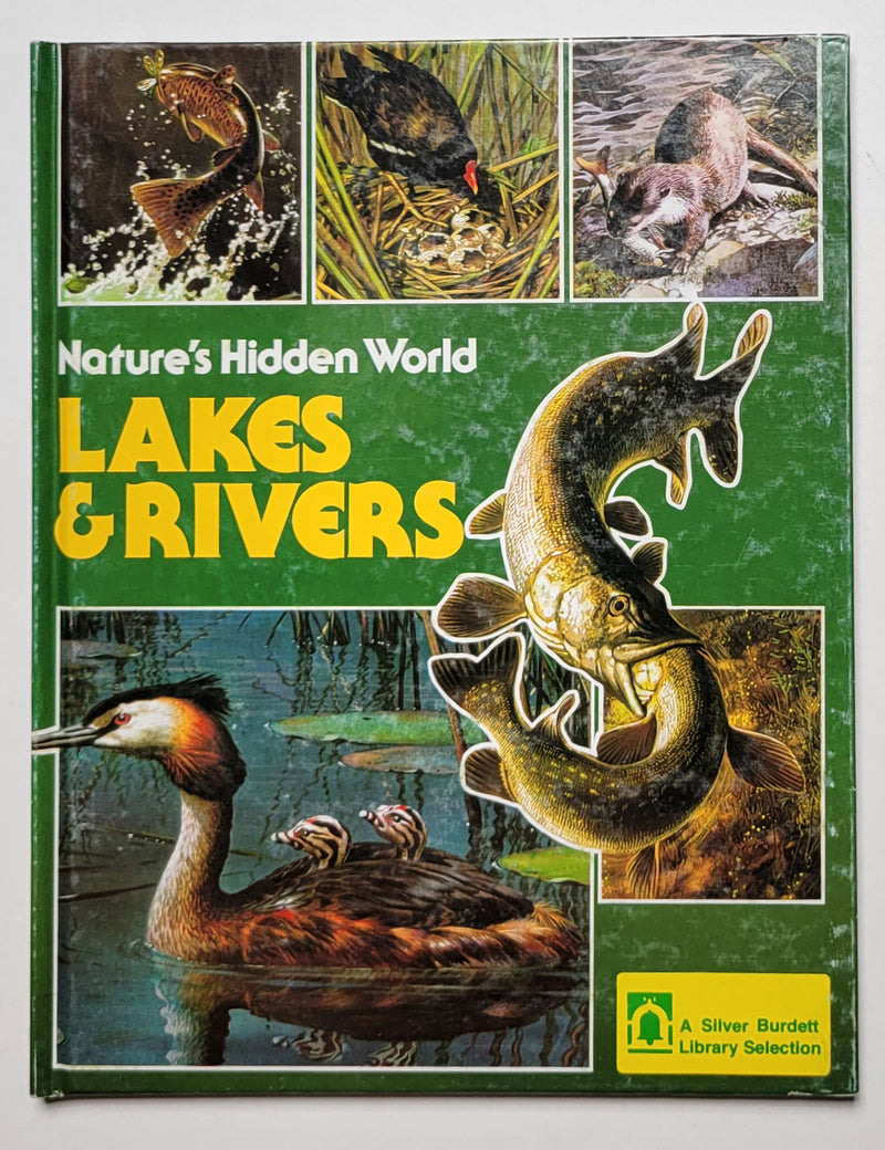 Natures Hidden World by Carl Brenders (Set of 4)
