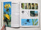 Natures Hidden World by Carl Brenders (Set of 4)