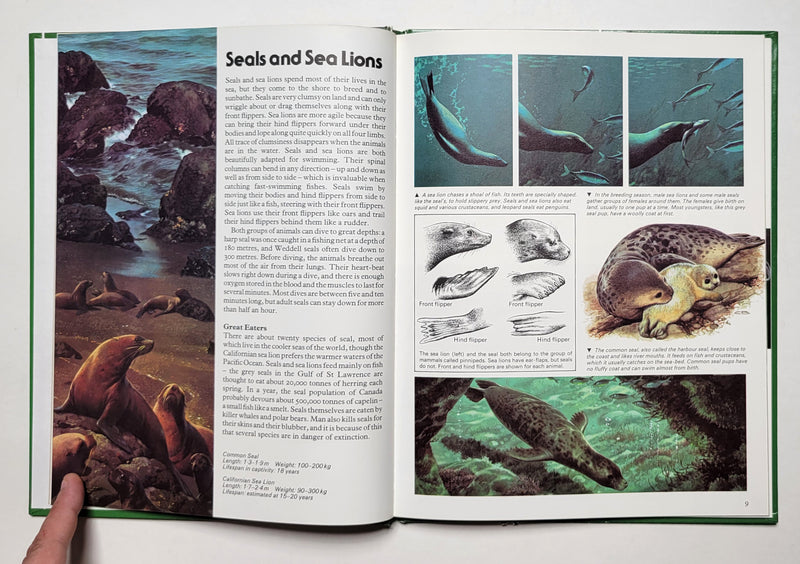 Natures Hidden World by Carl Brenders (Set of 4)