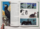 Natures Hidden World by Carl Brenders (Set of 4)