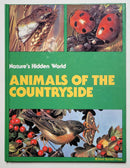 Natures Hidden World by Carl Brenders (Set of 4)