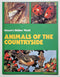 Natures Hidden World by Carl Brenders (Set of 4)