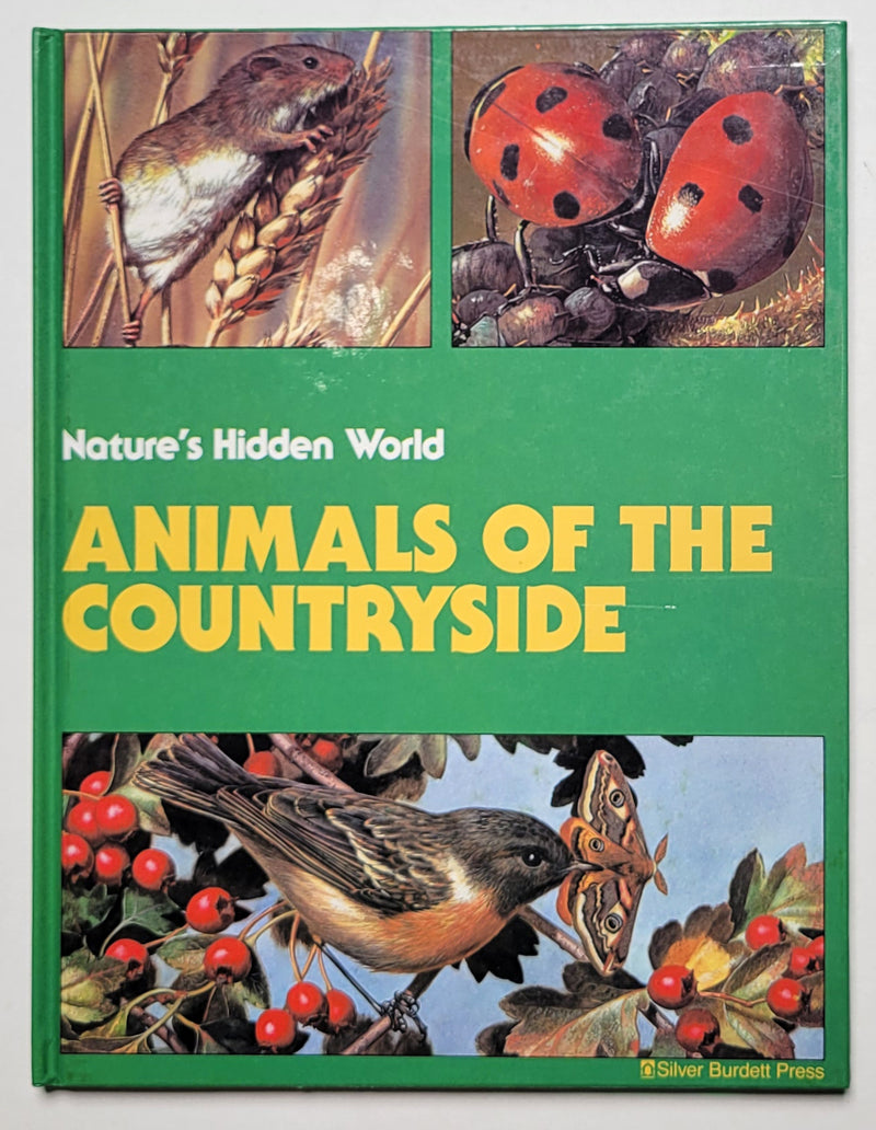 Natures Hidden World by Carl Brenders (Set of 4)