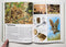 Natures Hidden World by Carl Brenders (Set of 4)