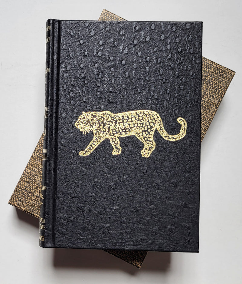 Hunting the African Leopard