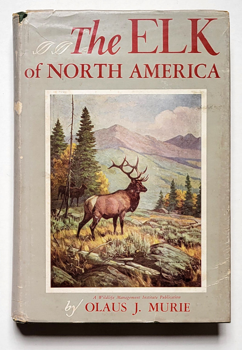The Elk of North America