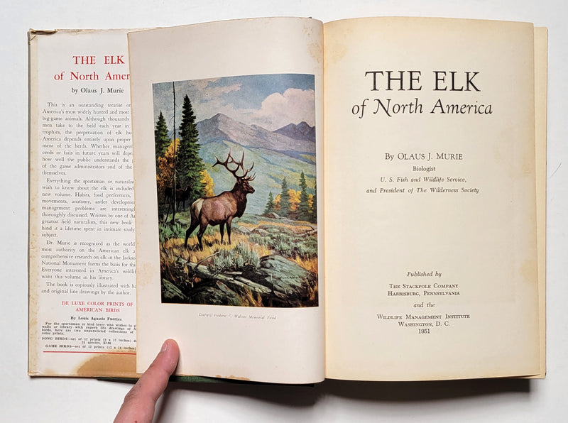 The Elk of North America