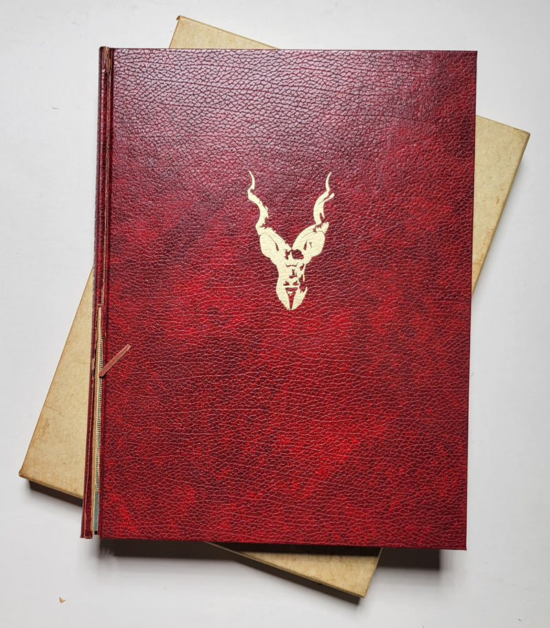 African Antelope