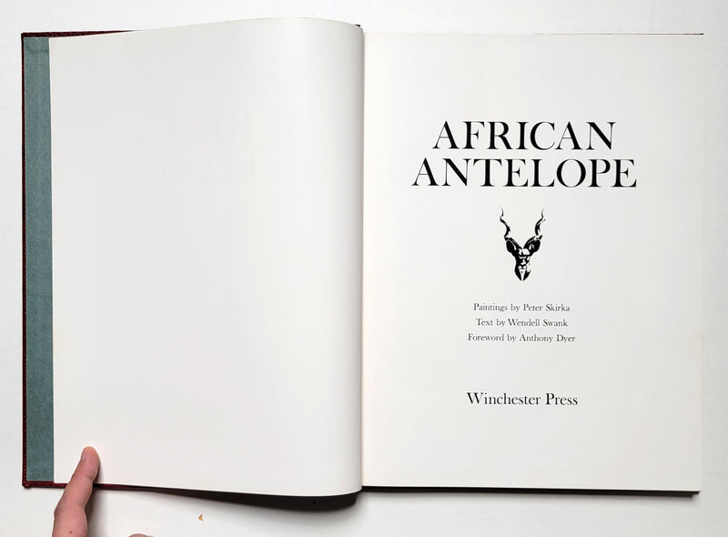 African Antelope