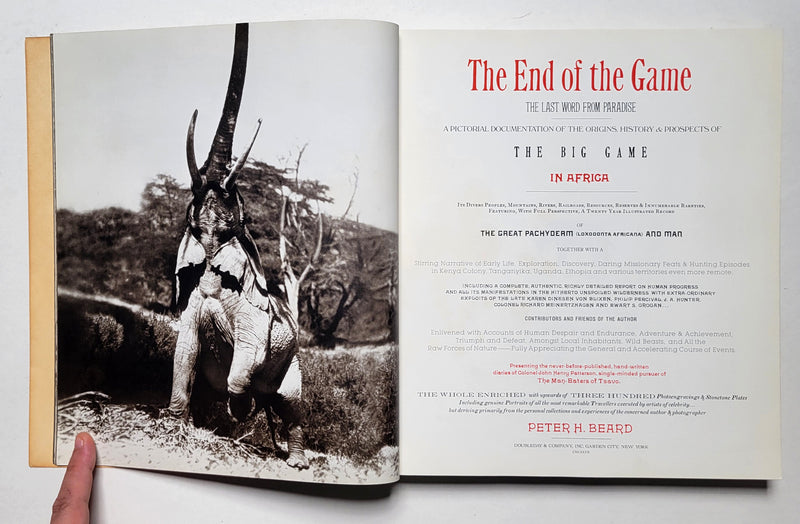 The End of the Game