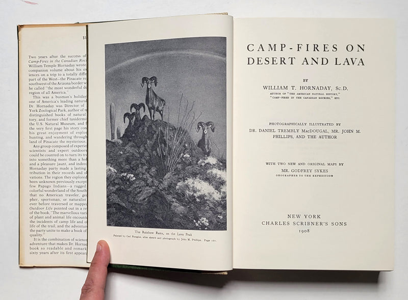 Camp-fires on Desert and Lava