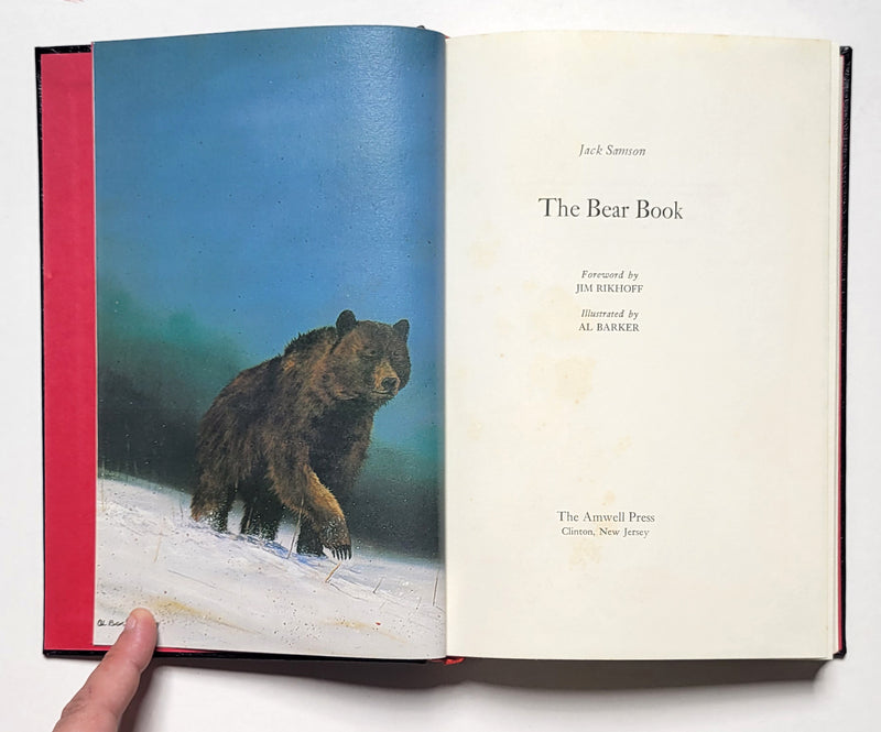 The Bear Book