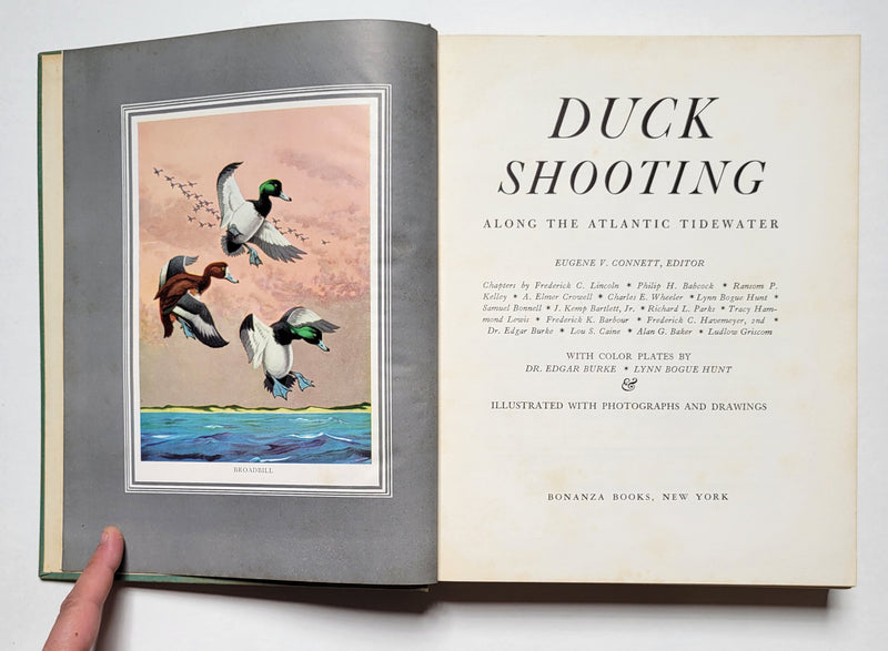 Duck Shooting along the Atlantic Tidewater