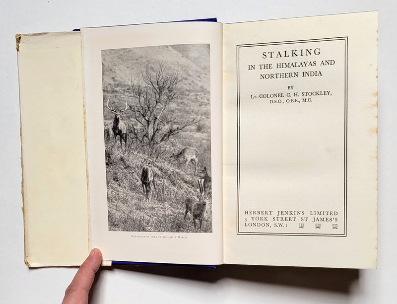 Stalking in the Himalayas and Northern India