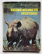 Rhinos Belong to Everybody