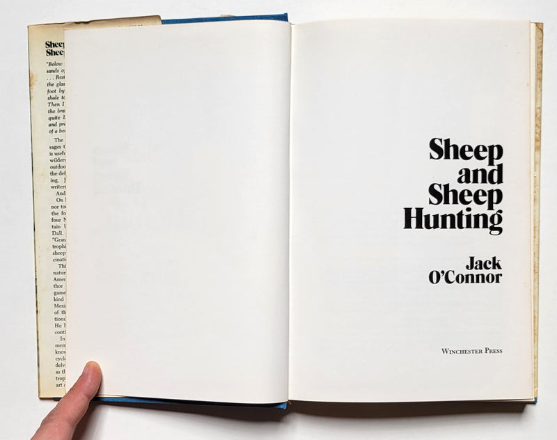 Sheep and Sheep Hunting