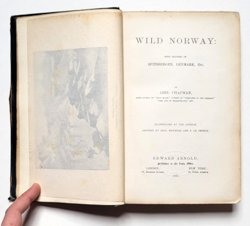 Wild Norway