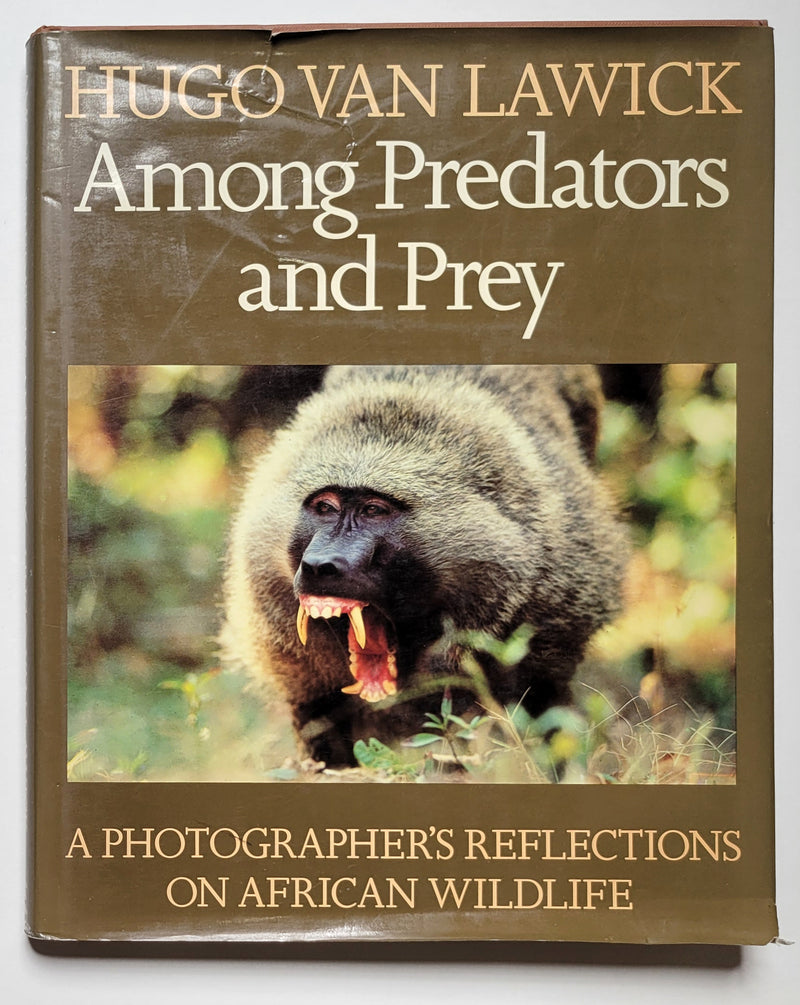 Among Predators and Prey: A Photographer’s Reflections on African Wildlife