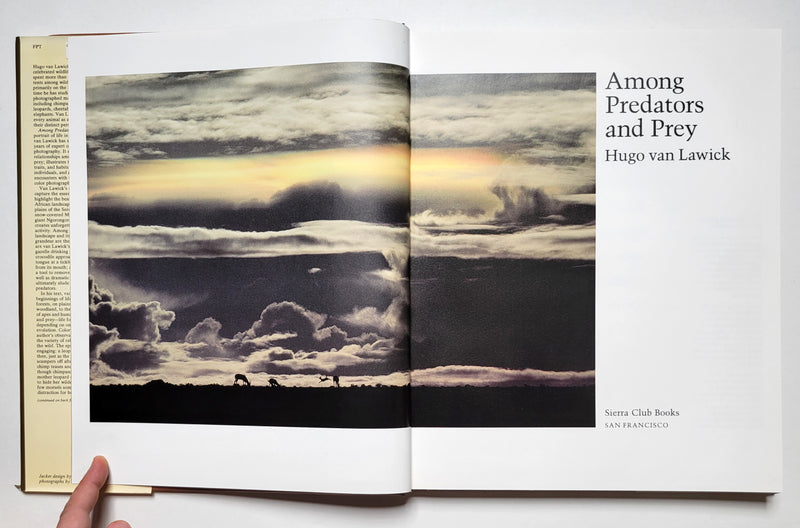 Among Predators and Prey: A Photographer’s Reflections on African Wildlife